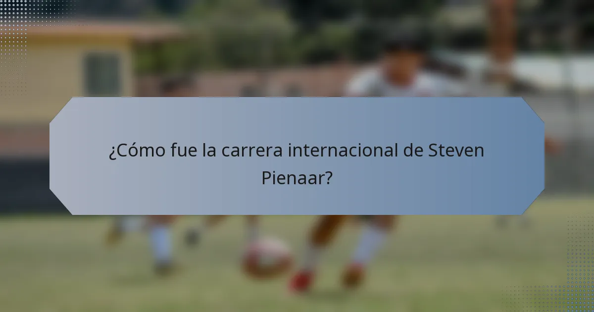 ¿Cómo fue la carrera internacional de Steven Pienaar?