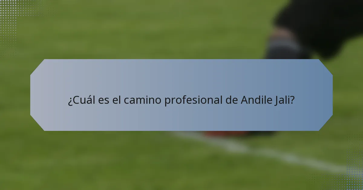 ¿Cuál es el camino profesional de Andile Jali?