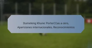Itumeleng Khune: Porterías a cero, Apariciones internacionales, Reconocimientos